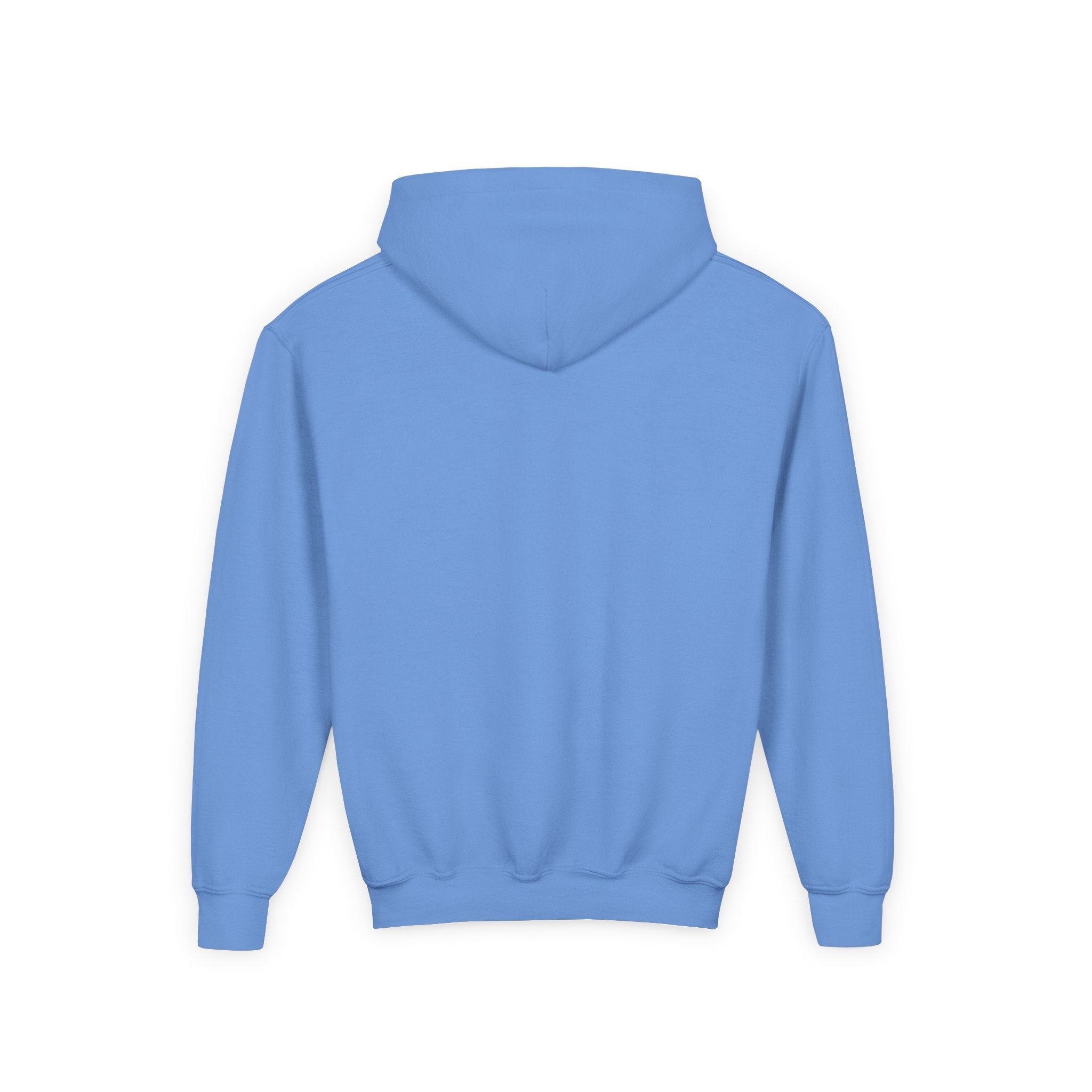 YOUTH Woodlake Retro Hoodie – Paw Print & Est. 1953 Kids Sweatshirt