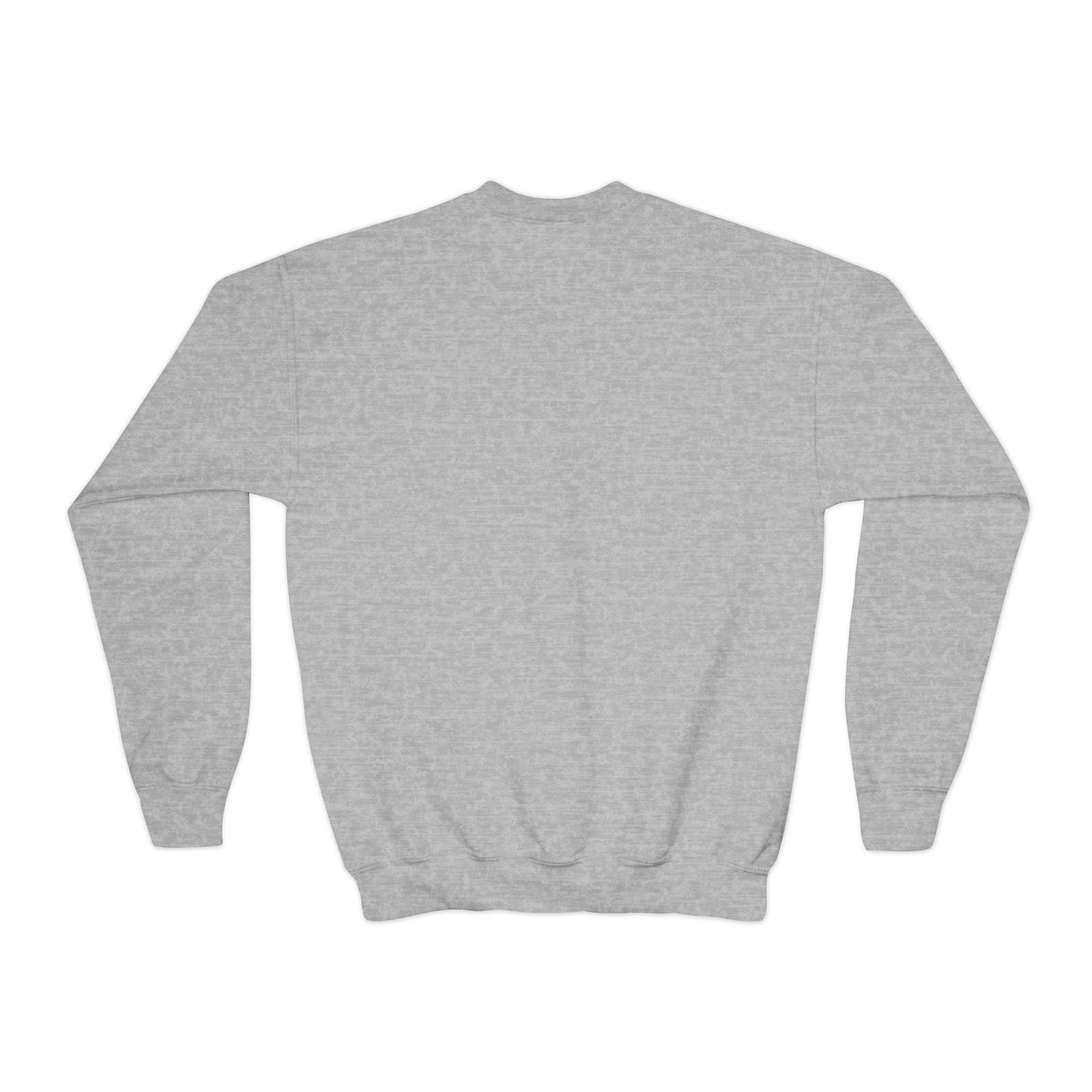 YOUTH Wildcats Crewneck Sweatshirt — "We Are The Wildcats" Retro Checkerboard Design