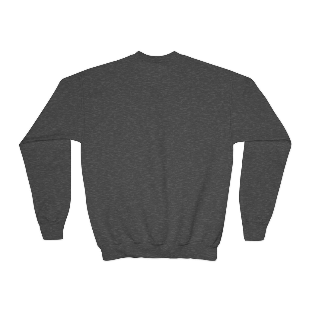 YOUTH Wildcats Woodlake Crewneck Sweatshirt - School Mascot Pullover