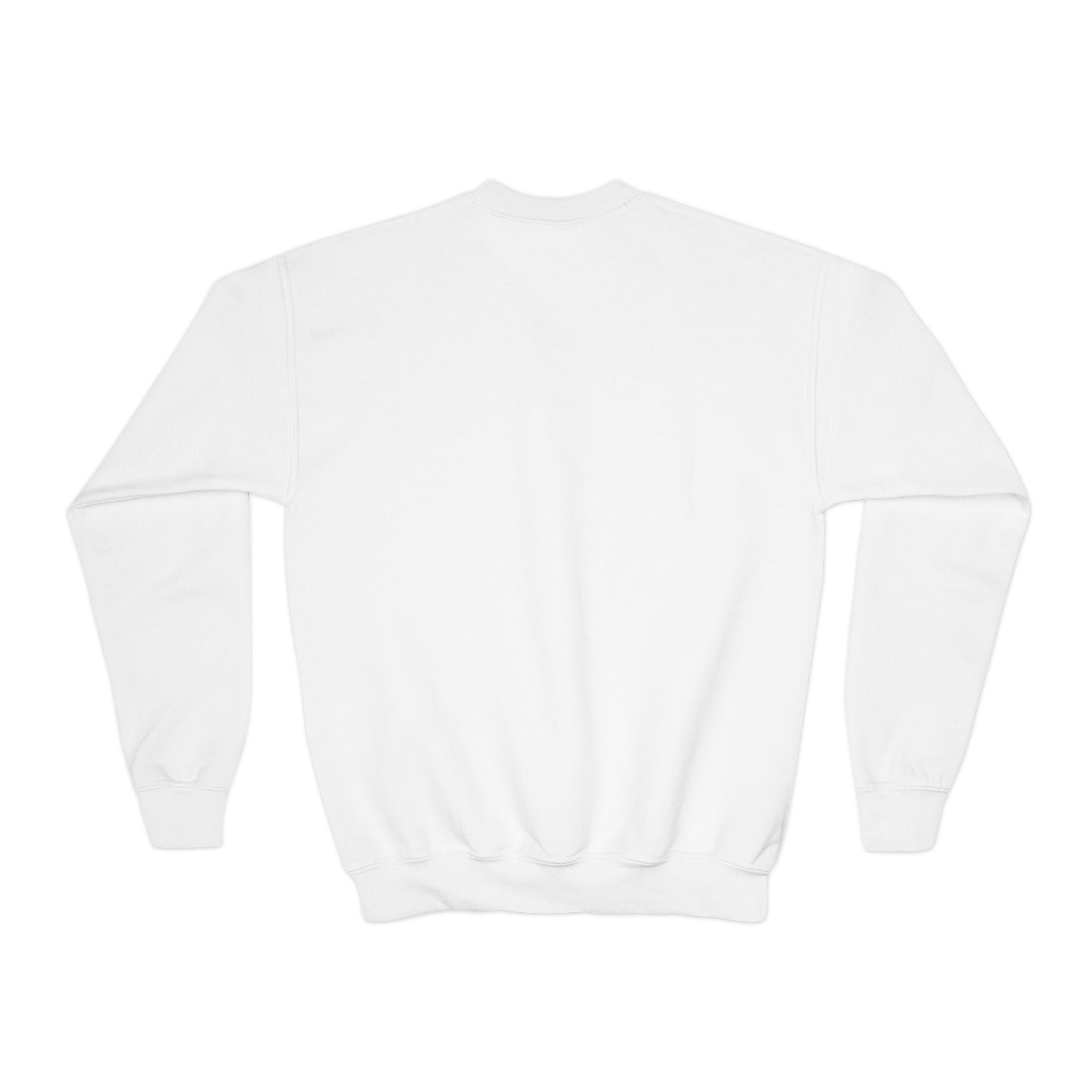 YOUTH Woodlake Crewneck Sweatshirt — Retro Striped Paw Logo
