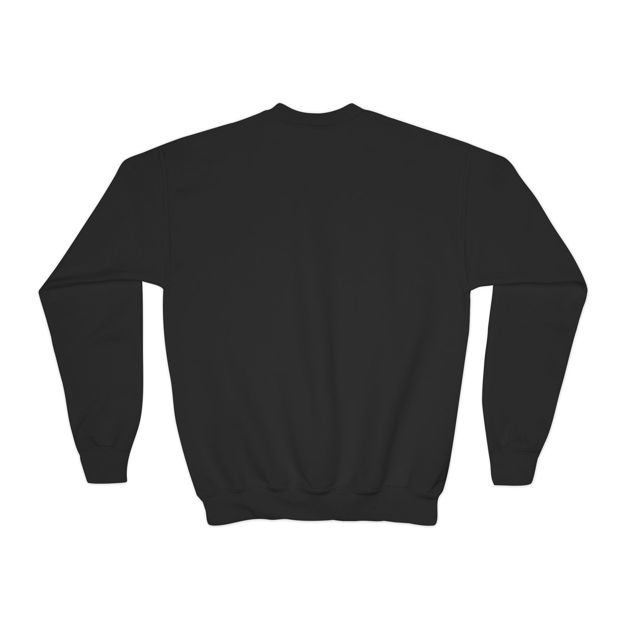 Wildcats KIDS Crewneck Sweatshirt – School Mascot Graphic